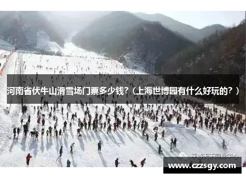 河南省伏牛山滑雪场门票多少钱？(上海世博园有什么好玩的？)