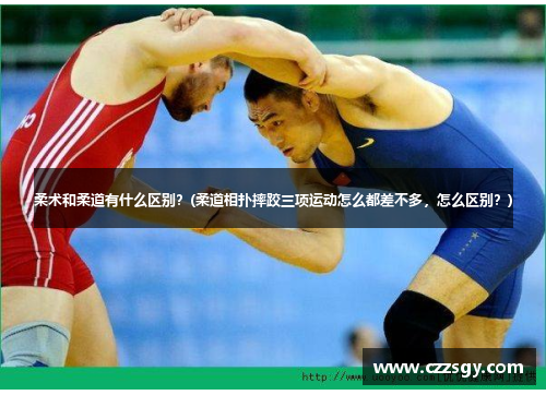 柔术和柔道有什么区别？(柔道相扑摔跤三项运动怎么都差不多，怎么区别？)